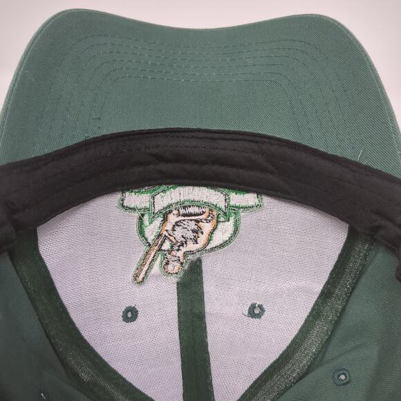 Kane Cougars Country Paying Ball Since 1991 Snapback Cap Green OS LOGOS UNLTD - Picture 8 of 9
